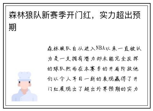 森林狼队新赛季开门红，实力超出预期
